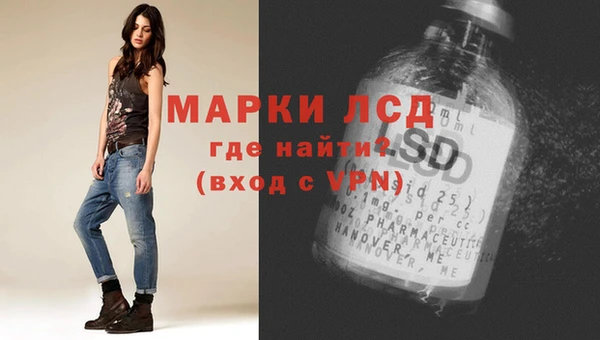 гашик Арсеньев