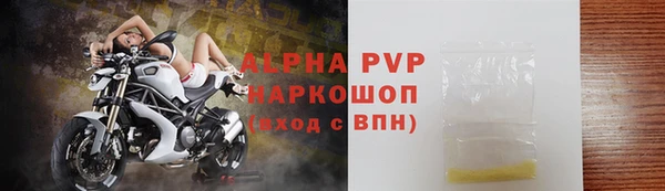 гашик Арсеньев