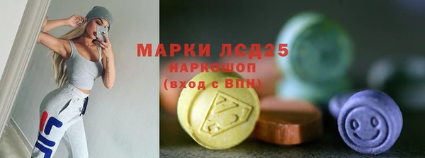 гашик Арсеньев
