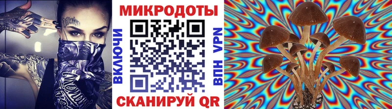 наркота  МЕГА онион  Псилоцибиновые грибы Magic Shrooms  Серов 