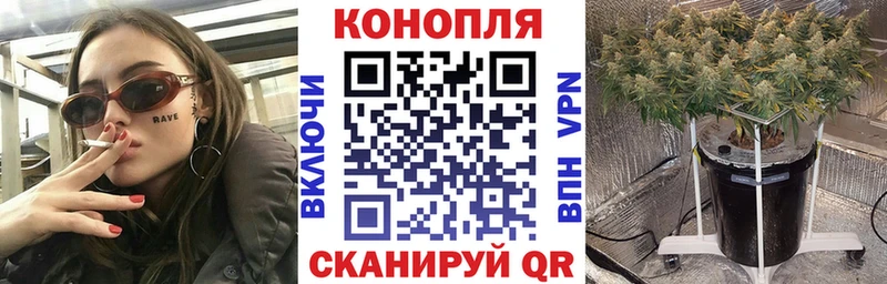 купить Серов Шишки марихуана ГИДРОПОН